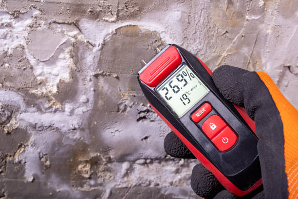 Best Mold Inspection  in Zephyrhills, FL
